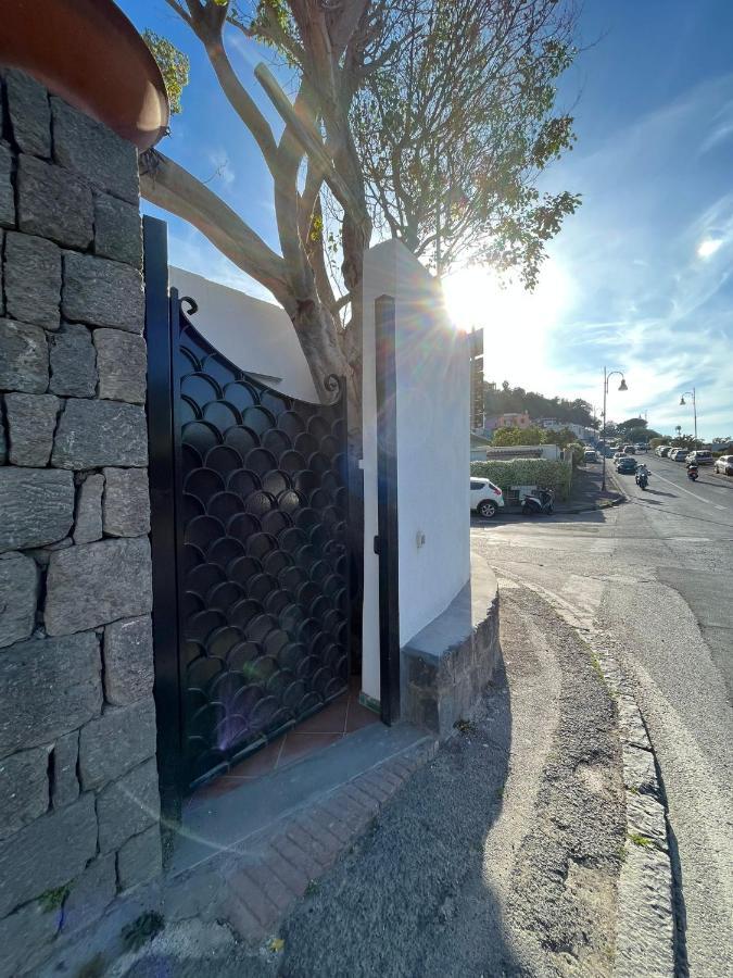 Smeraldino Lacco Ameno  Εξωτερικό φωτογραφία